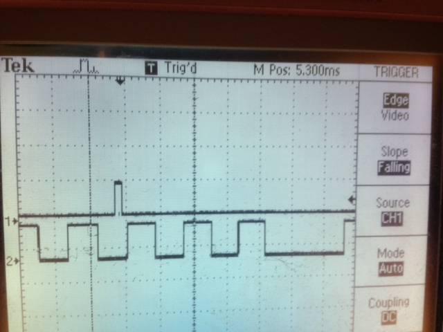 bgeisick_myphoto_30.9 deg.JPG